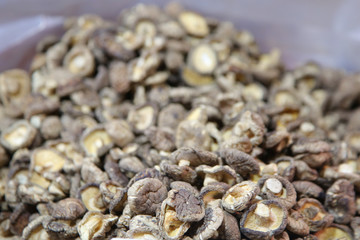 Obraz premium dried mushroom