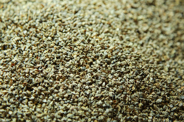 buckwheat