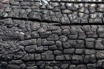 Background from a black surface of the burned charred wooden board