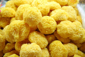 tremella