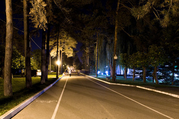 Park alley with night illumination.
