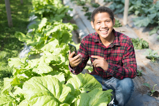 Asian Farmer Using Smartphone In Organic Vegetable Garden