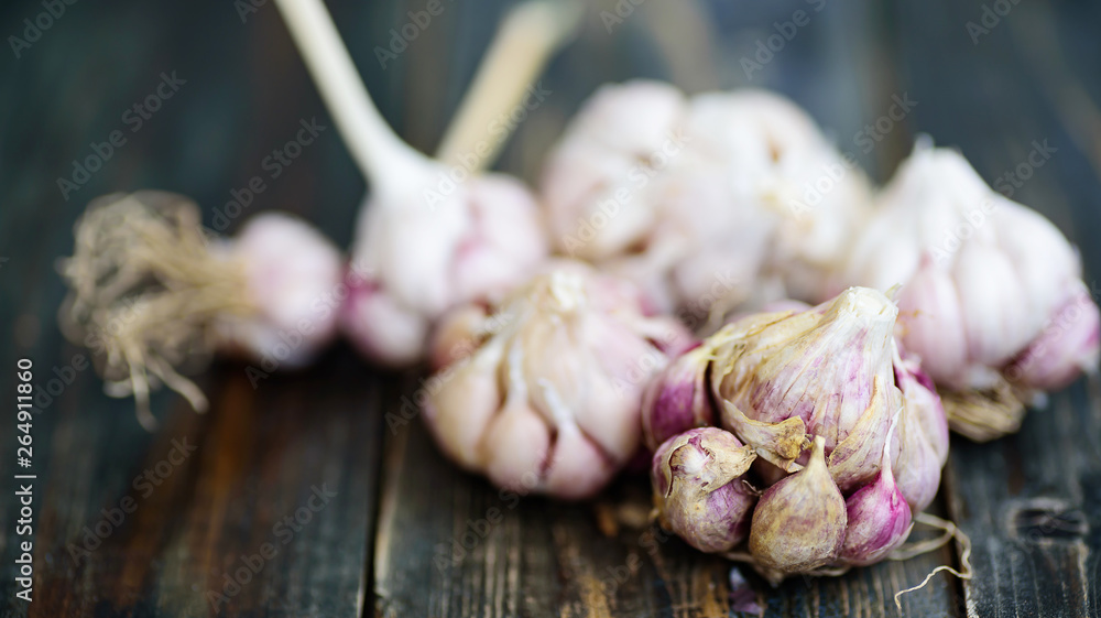 Wall mural fresh garlic on wooden, food ingredient, herb and spice