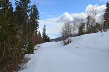 Fototapeta na wymiar Mountain taiga landscape in winter.