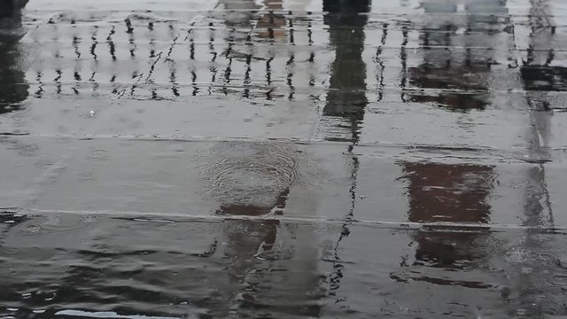 raindrops fall on the black asphalt