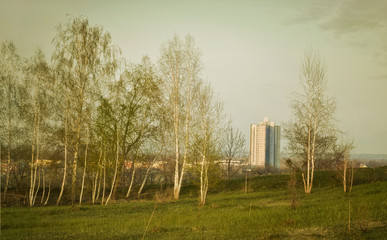 Urbanization against nature. Poor urban development leading to imminent elimination of green areas....