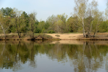 Fototapeta na wymiar spring landscape river and shore