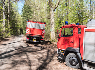 Feuerwehr bei einem Waldbrand im Einsatz