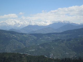 Obraz premium nature