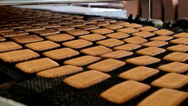 cookie making factory process conveyor