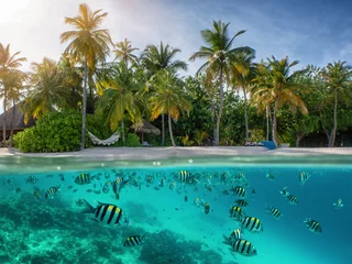 Blick auf einen tropischen Strand mit Palmen und bunten Fischem im türkisem Meer, Malediven © moofushi