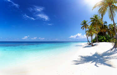 Fototapeta na wymiar Panorama eines tropischen Strandes auf den Malediven mit Palmen, türkisem Ozean und Sonnenschein