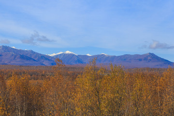 Forest in autumn colors and Eastern Mountains in the background. Peninsula Kamchatka, Russia.