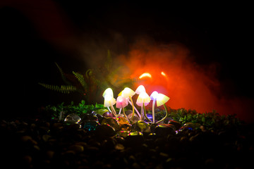 Fantasy glowing mushrooms in mystery dark forest close-up. Beautiful macro shot of magic mushroom...