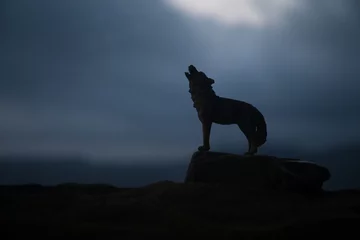 Keuken spatwand met foto Silhouette of howling wolf against dark toned foggy background. Halloween horror concept. © zef art