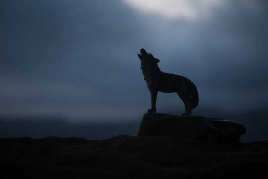 Silhouette of howling wolf against dark toned foggy background. Halloween horror concept.