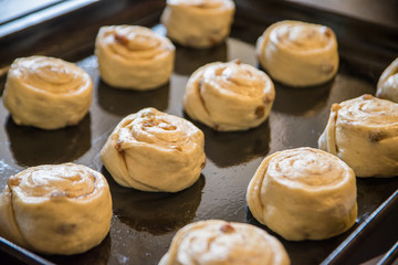 Obraz na płótnie Canvas cinnamon and raisin buns on a baking tray before baking