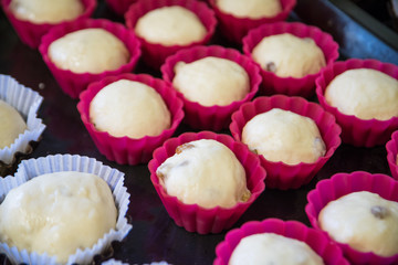 blanks for Easter, Easter cakes in forms, raw dough