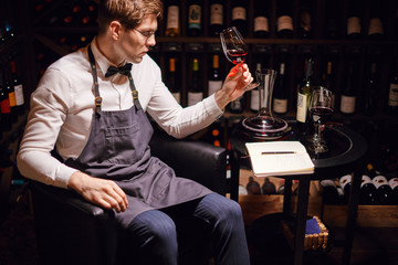 tasting experience in hotel or restaurant. Professional guy or sommelier holding glass of delicious red wine appreciting his tint with bottles collection on the background