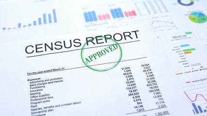 Obraz premium Census report approved, hand stamping seal on official document, statistics
