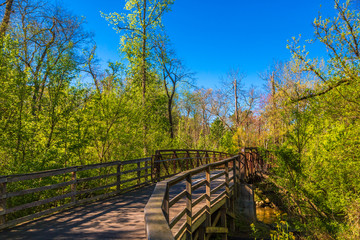 A bridge on a woodland walking trail in the spring