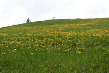 Outdoor and trekking in nature, italian hills 