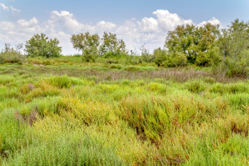 Regional Nature Park of the Camargue