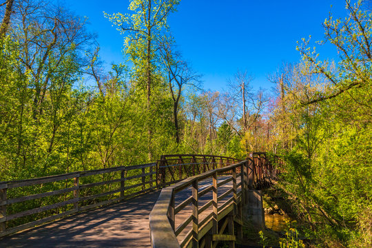 A bridge on a woodland walking trail in the spring