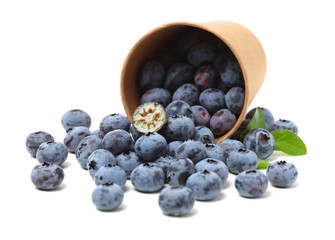 Blueberry on a white background