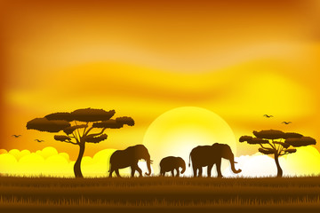 Fototapeta na wymiar Paper art and digital craft style of world elephant Day , elephant in the grass sunrise , Vector illustration.