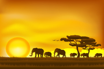 Paper art and digital craft style of world animal Day , elephant and Rhino in the grass with sunrise , Vector illustration.