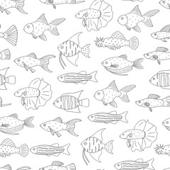 Vector black and white seamless pattern of aquarium fish. Monochrome repeating background with molly, guppy, platyfish, goldfish, danio, scalare, cichlasoma, ancistrus, gourami