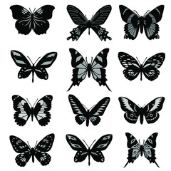 Fototapeta na wymiar Set of silhouettes of different butterflies, vector illustration, black color, white background