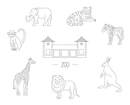 Vector illustration zoo animals isolated on white background. Line drawing of giraffe, tiger, elephant, lion, zebra, monkey, kangaroo. Picture of zoo for children.
