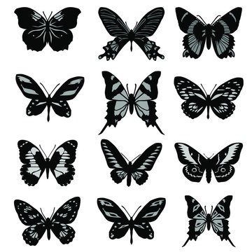 Set of silhouettes of different  butterflies, vector illustration, black  color, white background