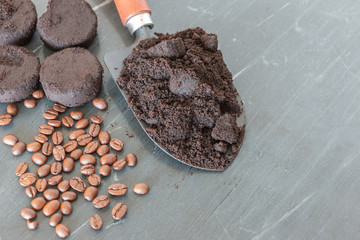 Coffee ground, Coffee residue is applied to the tree and is a natural fertilizer