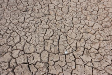 Drought, earth cracks, natural disaster