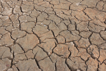 Drought, earth cracks, natural disaster