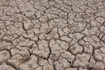 Drought, earth cracks, natural disaster