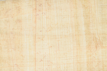 Real Egypt papyrus paper background and texture number 18. Close up macro.