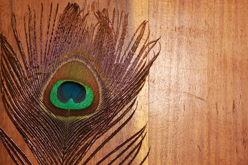 Blank Polished wood textures with peacock feathers.