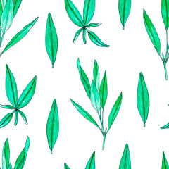 Seamless pattern with hand painted watercolor sage isolated on white. Repeating background with herbs for textile, packaging or scrapbooking.