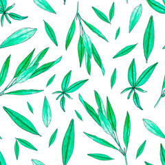 Seamless pattern with hand painted watercolor sage isolated on white. Repeating background with herbs for textile, packaging or scrapbooking.