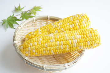 夏の食べ物　とうもろこし