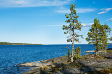Fototapeta na wymiar lake and pine trees on a sunny summer day. landscape. Karelia Ladoga lake. panorama.Nature of the north