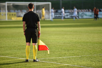 Sideline referee staying by touch-line during football match.