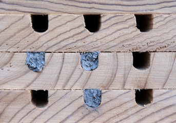 Bienenhaus bee house Eingang entrance 016