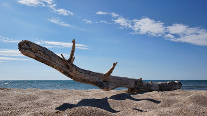 Strandgut am Mittelmeerstrand