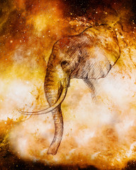 drawing of an elephant, profile drawing in cosmic space.