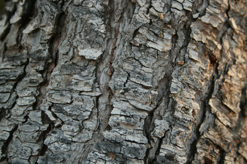TEXTURES 302